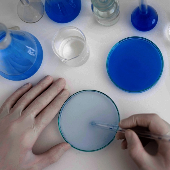 Laboratoire